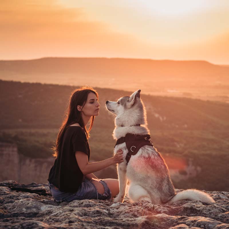 Lagun. Crematorio de mascotas